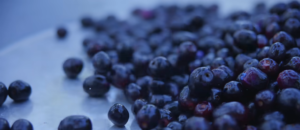 Java Plum Fruit also Known As Syzygium Cumini or Jambul