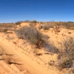 Understanding Rangelands and Their Management